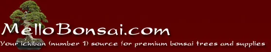 MelloBonsai.com Logo - Your ichiban (number 1) source for premium bonsai trees and supplies