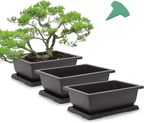 Plastic bonsai pots